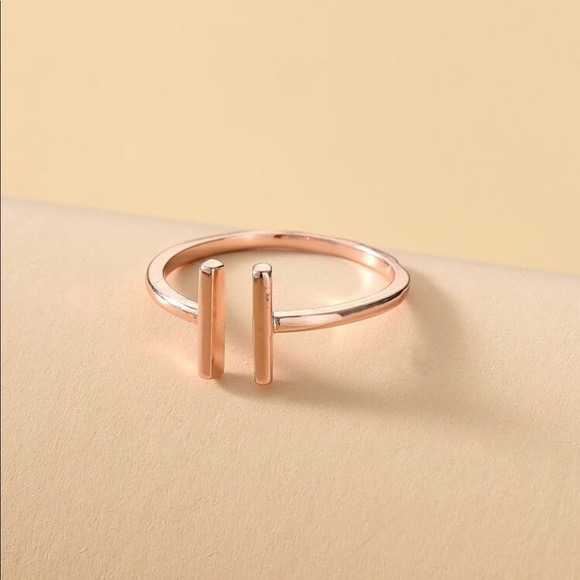 LAST ONE! Christopher Street Rose Gold Bar Ring - Picture 3 of 4